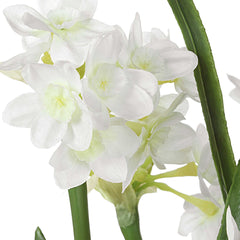 Lacey Daffodil White Accent Arrangement - Ornate Home
