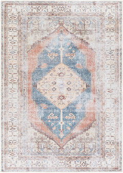 Lake Area Rug - Clearance - Ornate Home