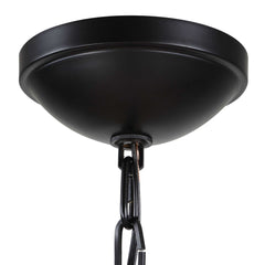 Lakeside Black Indoor-Outdoor 1 Light Pendant - Ornate Home