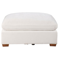 Lakeview Ivory Ottoman - Ornate Home