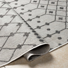 Lali Light Gray Outdoor Area Rug - Clearance - Ornate Home