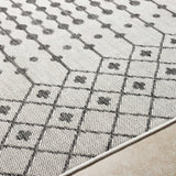 Lali Light Gray Outdoor Area Rug - Clearance - Ornate Home