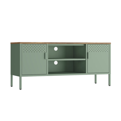 Landen 47" TV Stand in Green - Ornate Home