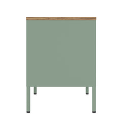 Landen 47" TV Stand in Green - Ornate Home