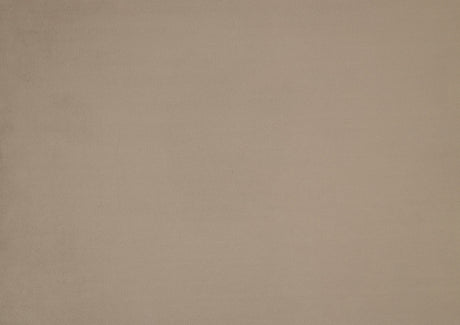 Landers Light Brown Velvet Accent Chair - Ornate Home