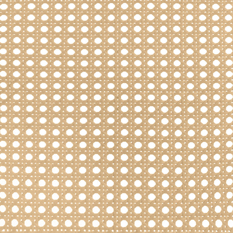 Lanewood Black Open Cane Eastern King Bed - Ornate Home