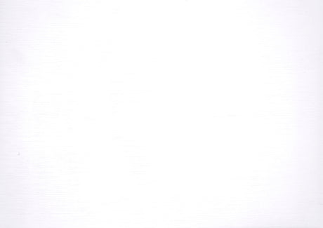 Lani Wire-Brushed White Twin/Twin Bunk Bed - Ornate Home