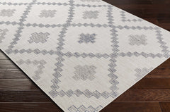 Lanigan Indoor & Outdoor Rug - Clearance - Ornate Home