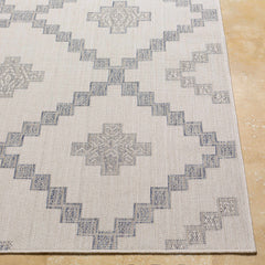 Lanigan Indoor & Outdoor Rug - Clearance - Ornate Home