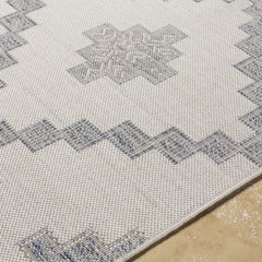Lanigan Indoor & Outdoor Rug - Clearance - Ornate Home