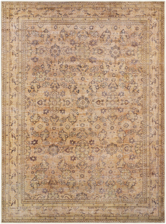 Lapining Washable Area Rug - Clearance - Ornate Home
