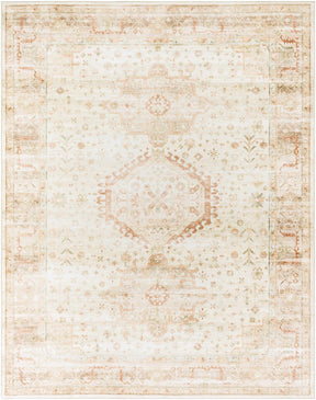 Laran Rust Distressed Washable Area Rug - Clearance - Ornate Home