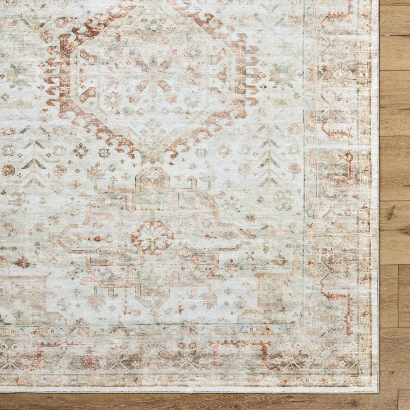 Laran Rust Distressed Washable Area Rug - Clearance - Ornate Home