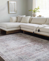 Laran Taupe Distressed Washable Area Rug - Clearance - Ornate Home