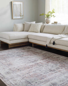 Laran Taupe Distressed Washable Area Rug - Clearance - Ornate Home