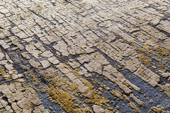 Latour Carpet - Clearance - Ornate Home
