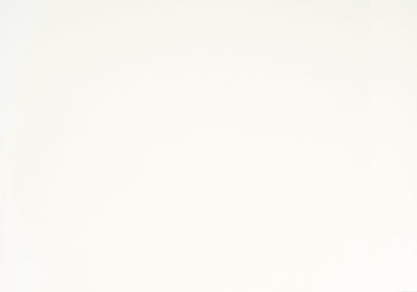 Laurelin White Mirror - Ornate Home