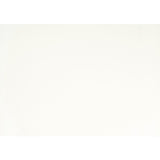 Laurelin White Queen Sleigh Platform Bed - Ornate Home