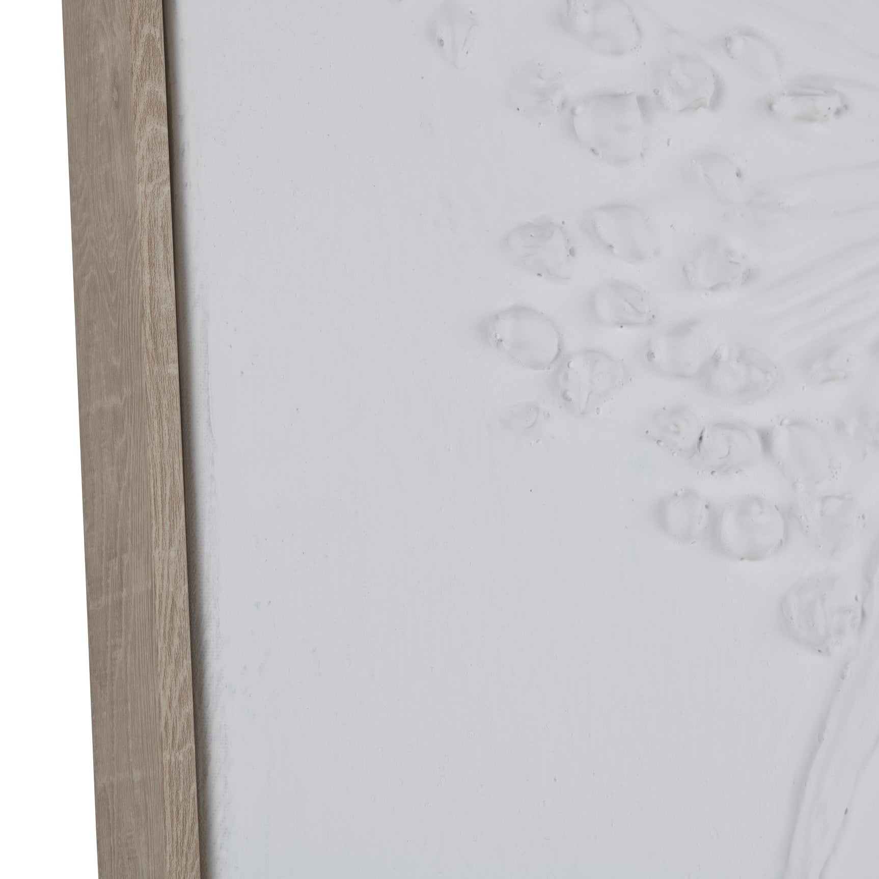 Lawrence White Canvas