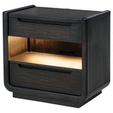 Leandro Burnished Black 2-drawer LED Nightstand with USB - Ornate Home