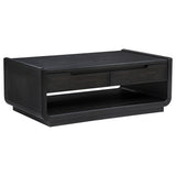 Leandro Burnished Black 2-drawer Wood Cocktail Coffee Table - Ornate Home