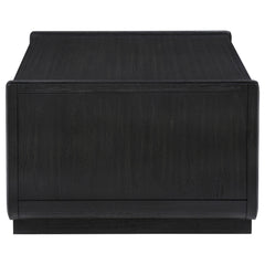 Leandro Burnished Black 2-drawer Wood Cocktail Coffee Table - Ornate Home