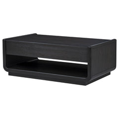 Leandro Burnished Black 2-drawer Wood Cocktail Coffee Table - Ornate Home