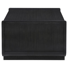 Leandro Burnished Black 2-drawer Wood Cocktail Coffee Table - Ornate Home