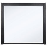 Leandro Burnished Black Dresser Mirror - Ornate Home