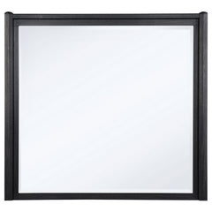 Leandro Burnished Black Dresser Mirror - Ornate Home