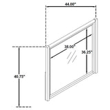 Leandro Burnished Black Dresser Mirror - Ornate Home