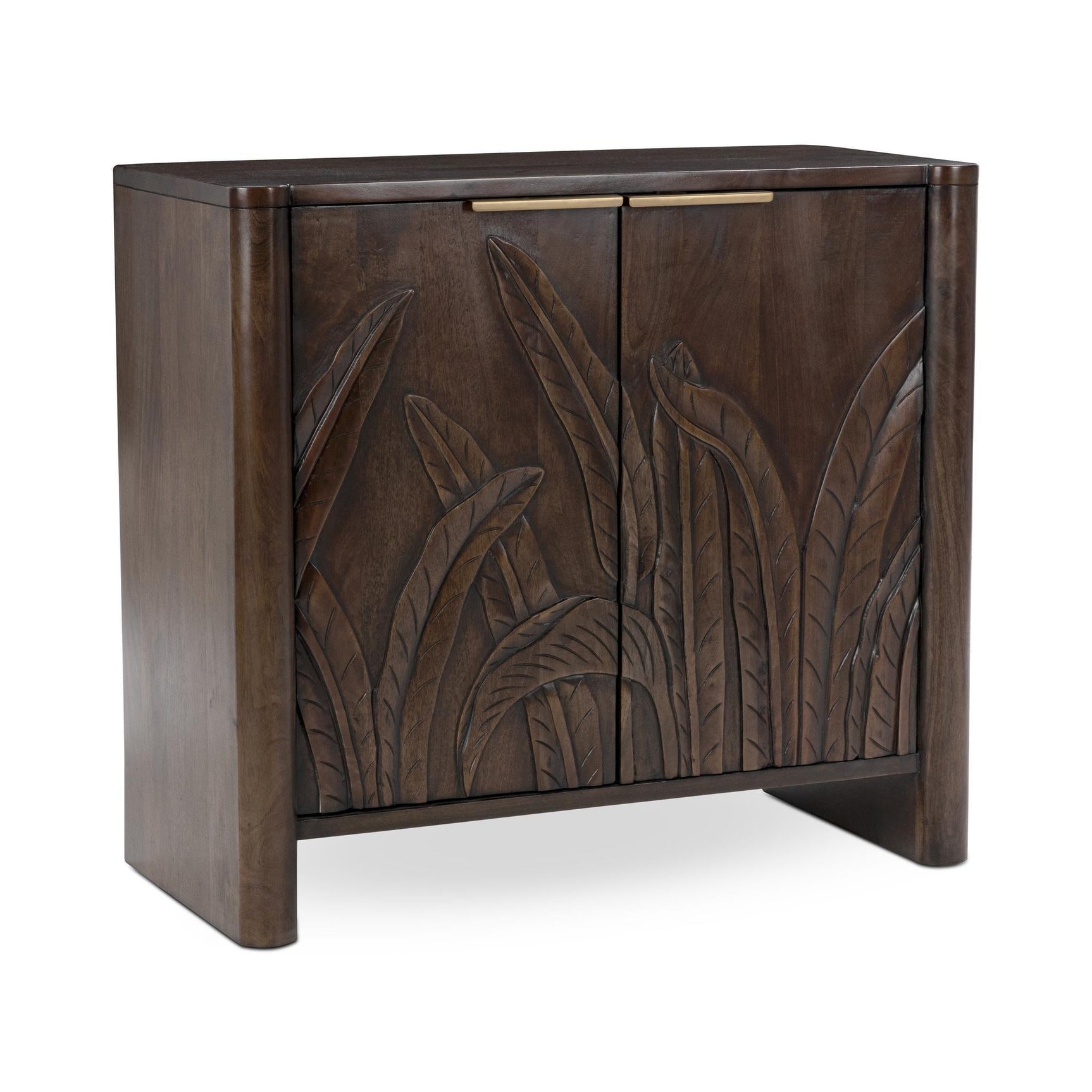 Ledro Dark Brown 2 Door Cabinet - Ornate Home