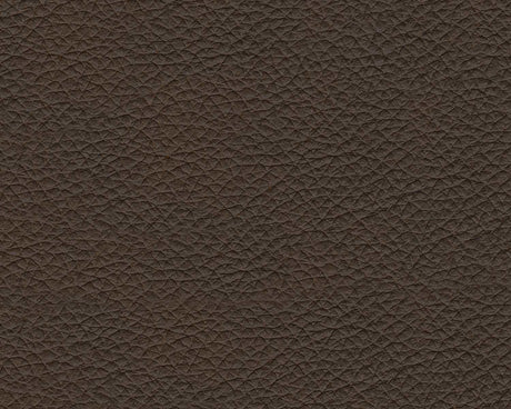 Leesworth Dark Brown Power Reclining Living Room Set / 2pc - Ornate Home