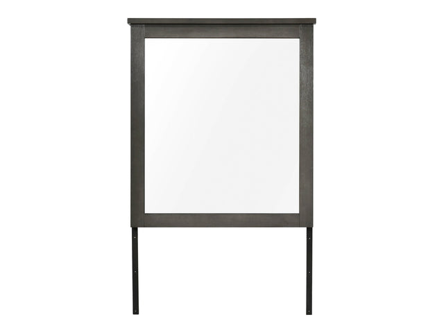 Lenior Gray Mirror - Ornate Home