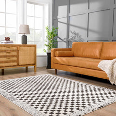Leryn Black & White Checkered Area Rug - Ornate Home
