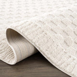 Leryn Ivory Checkered Area Rug - Ornate Home