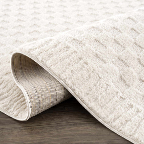 Leryn Ivory Checkered Area Rug - Ornate Home