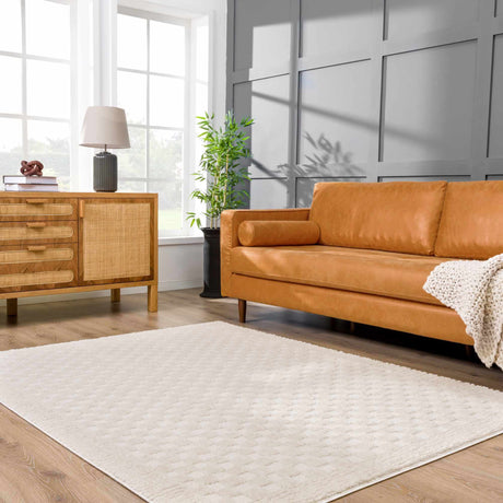 Leryn Ivory Checkered Area Rug - Ornate Home