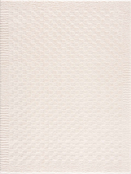 Leryn Ivory Checkered Area Rug - Ornate Home