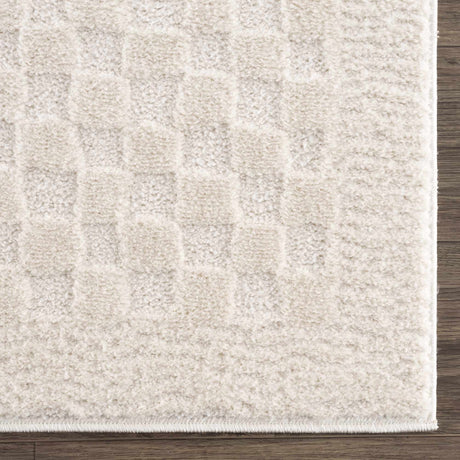 Leryn Ivory Checkered Area Rug - Ornate Home