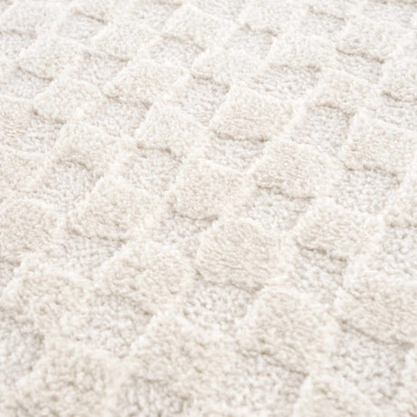 Leryn Ivory Checkered Area Rug - Ornate Home