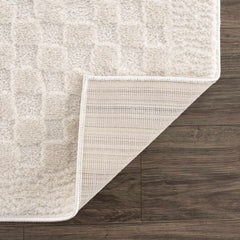 Leryn Ivory Checkered Area Rug - Ornate Home