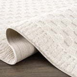 Leryn Ivory Checkered Area Rug - Ornate Home