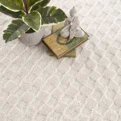 Leryn Ivory Checkered Area Rug - Ornate Home