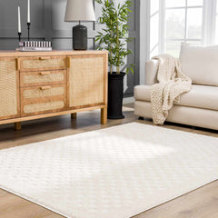 Leryn Ivory Checkered Area Rug - Ornate Home