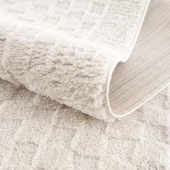Leryn Ivory Checkered Area Rug - Ornate Home