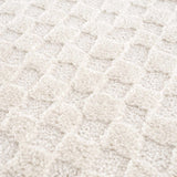 Leryn Ivory Checkered Area Rug - Ornate Home