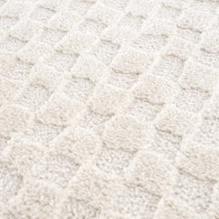 Leryn Ivory Checkered Area Rug - Ornate Home