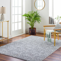 Lesa Area Rug - Clearance - Ornate Home