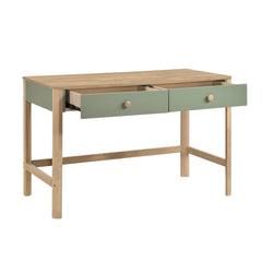 Liam Green Writing Desk - Ornate Home